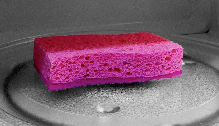 sponge microwave sanitize