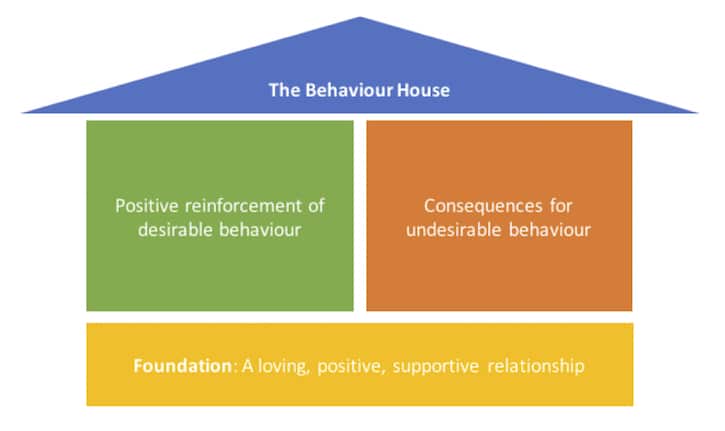 behaviour discipline diagram