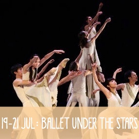Ballet under the stars- SIZE 26
