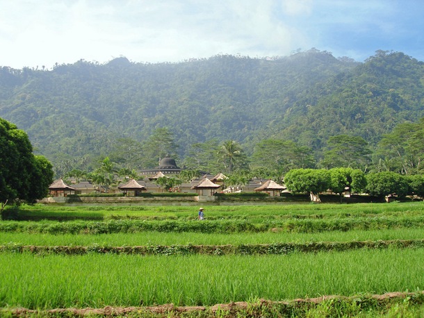 Amanjiwo - Surrounding Ricefields