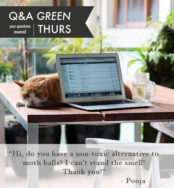 QA-Green-Thursday-Question-Heading4