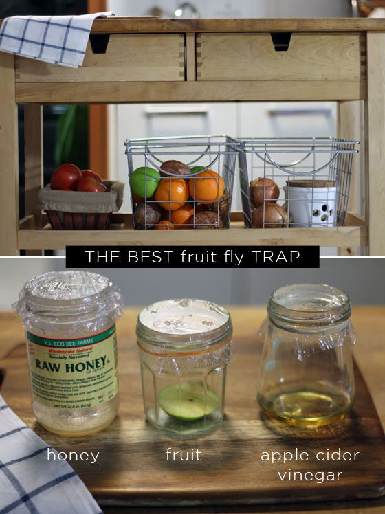 How to get rid of fruit flies without apple cider vinegar sales