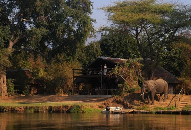 794453-chiawa-camp-lower-zambezi-zambia