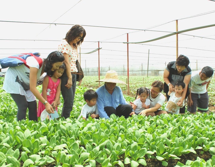 singapore kid friendly farm kok fah technology vegetables