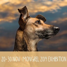 FYD_MONGREL 2014_2