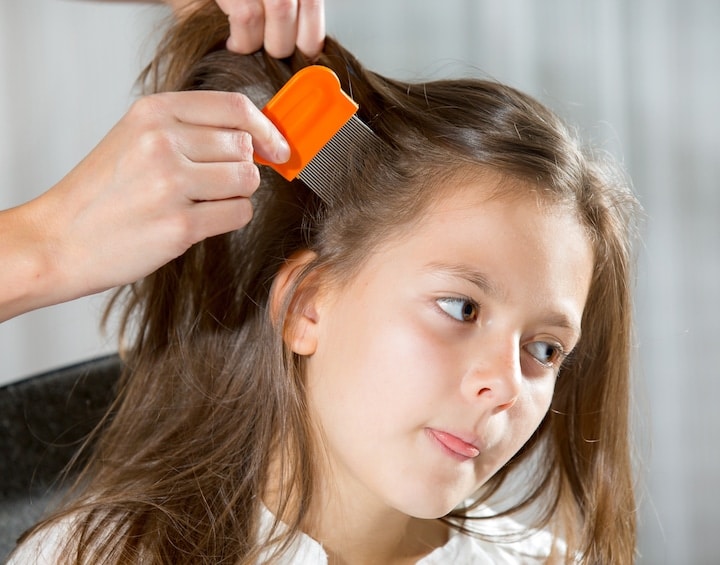 lice shampoo singapore lice comb treatment guide
