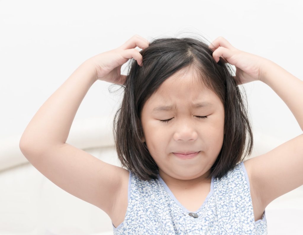 lice singapore shampoo how to treat lice