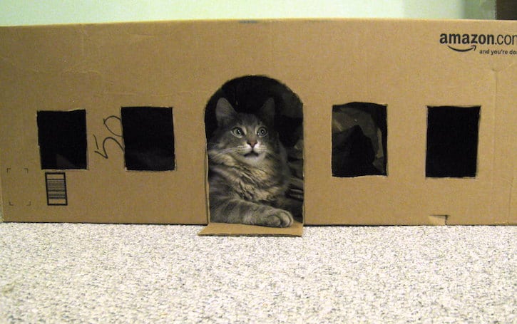 cardboard diy cat house