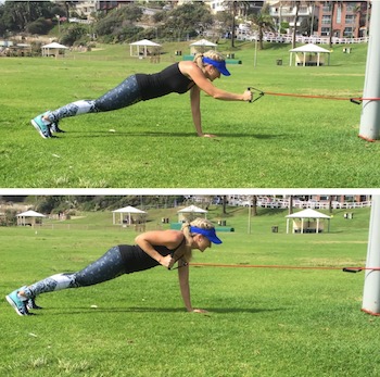 plank & single arm row