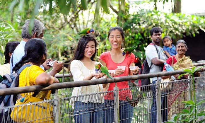 jurong bird park june