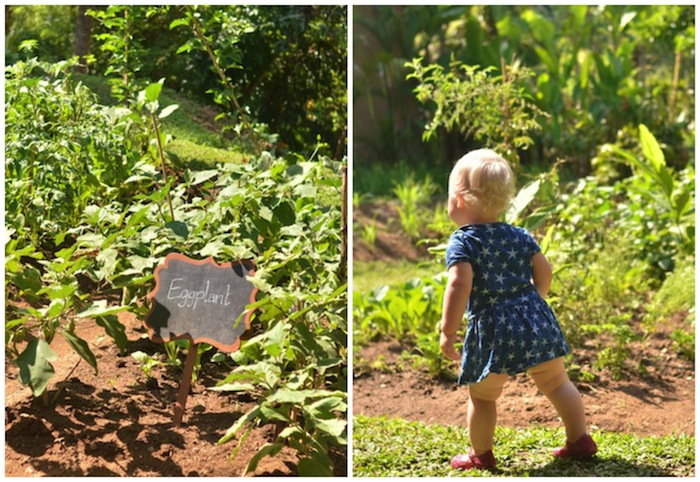 organic garden at ritz carlton mandapa