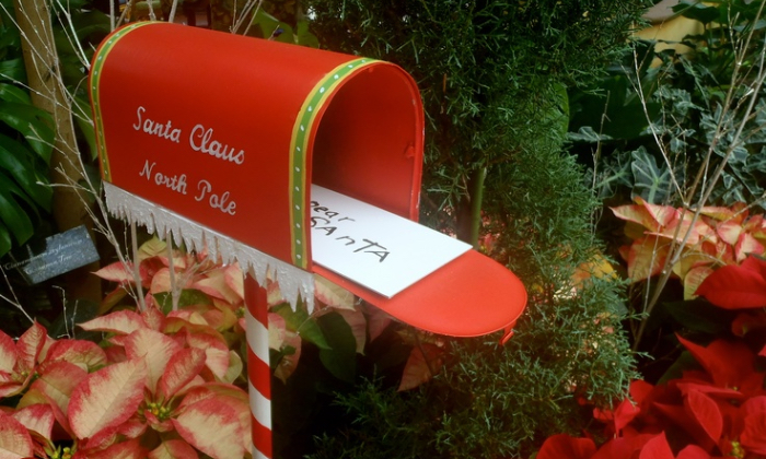 Christmas in the Tropics - Christmas Letter