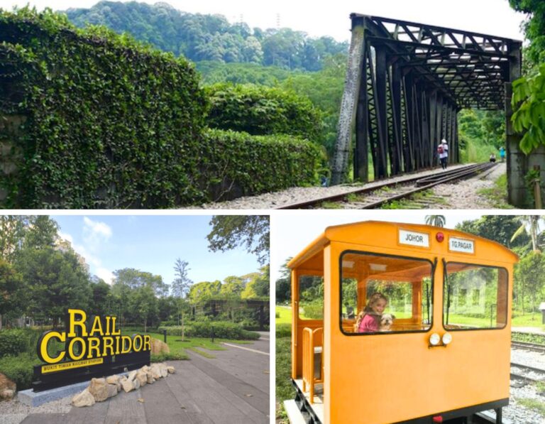 Railway Corridor South: Bukit Timah Railway Station