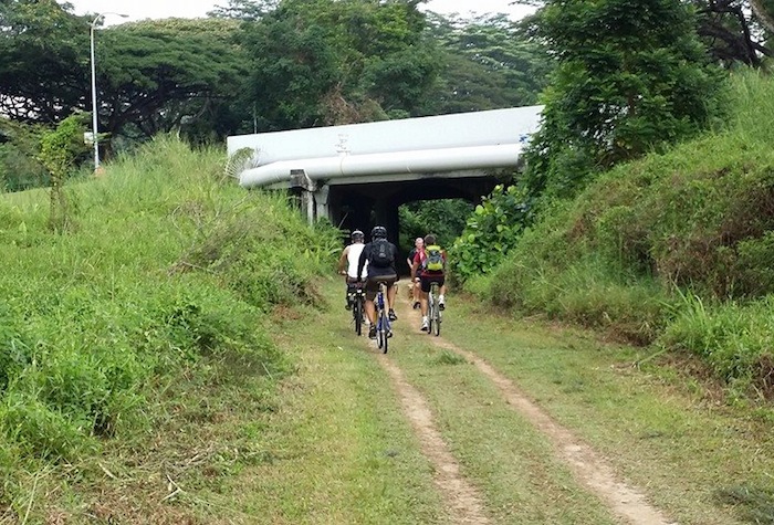 the-green-corridor-cyclists-120116