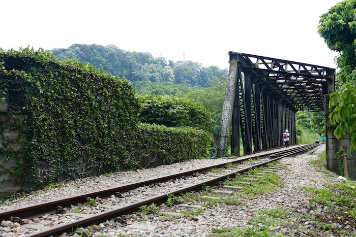 the-green-corridor-rail-bridge-120116