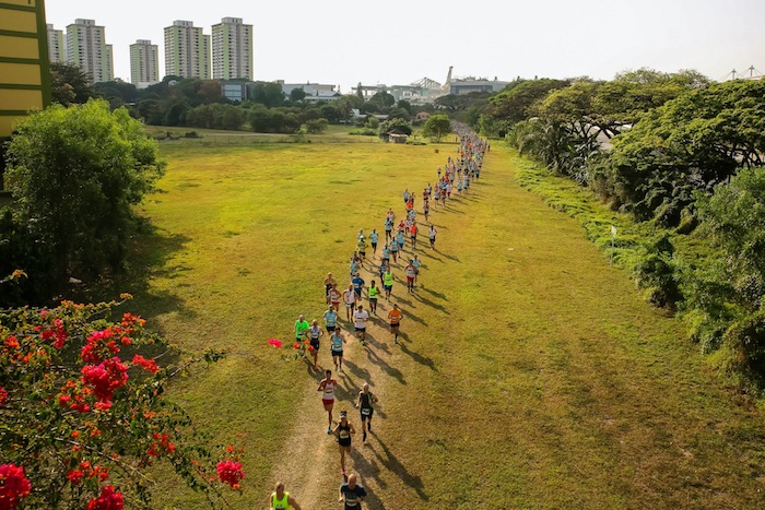 the-green-corridor-run-120116