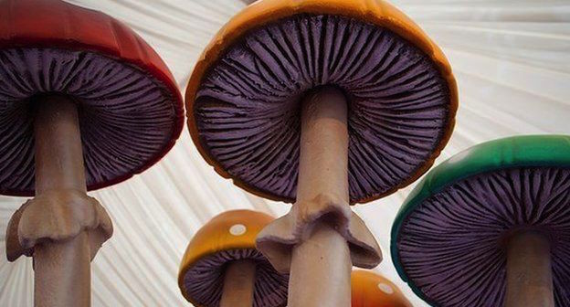 giant mushrooms party