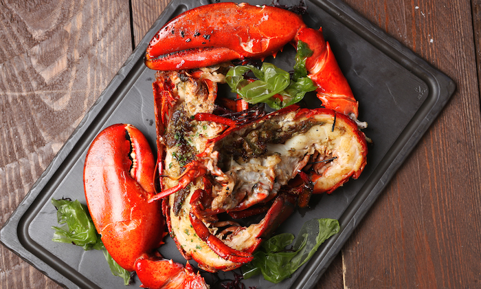 Catalunya Grilled Lobster Tapa