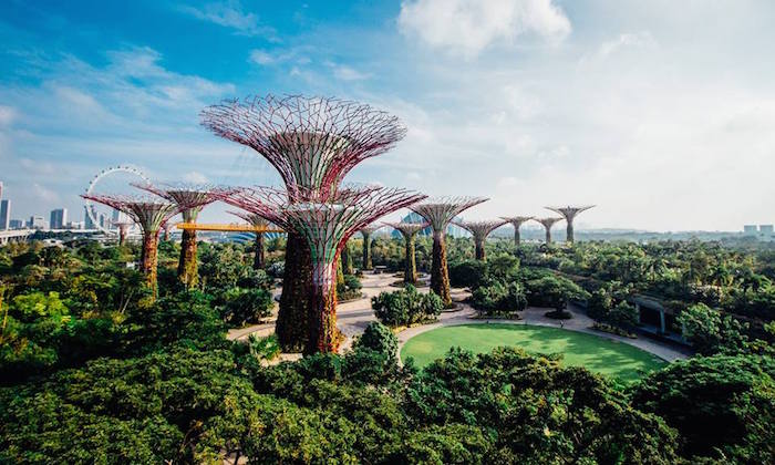 Gardens by The Bay