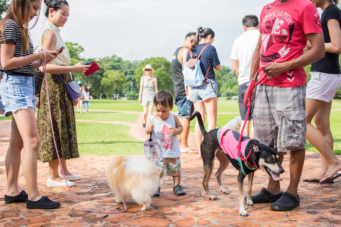 pets-day-out-crowd