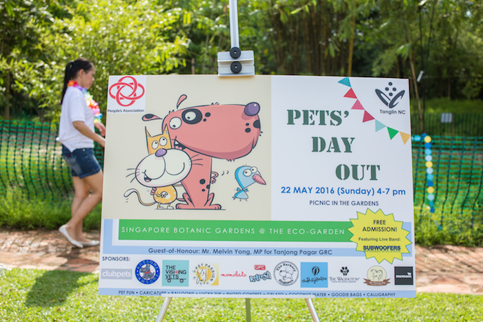 pets-day-out-poster