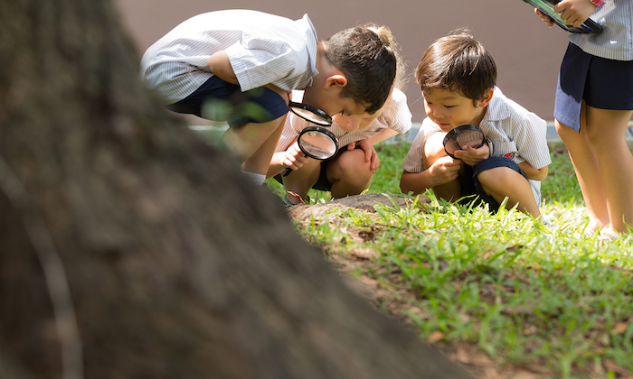 canadian international school singapore students exploring