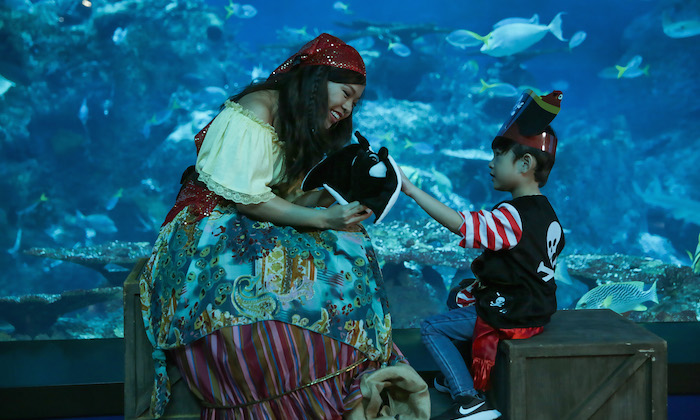 sea-aquarium-gypsy-the-storyteller
