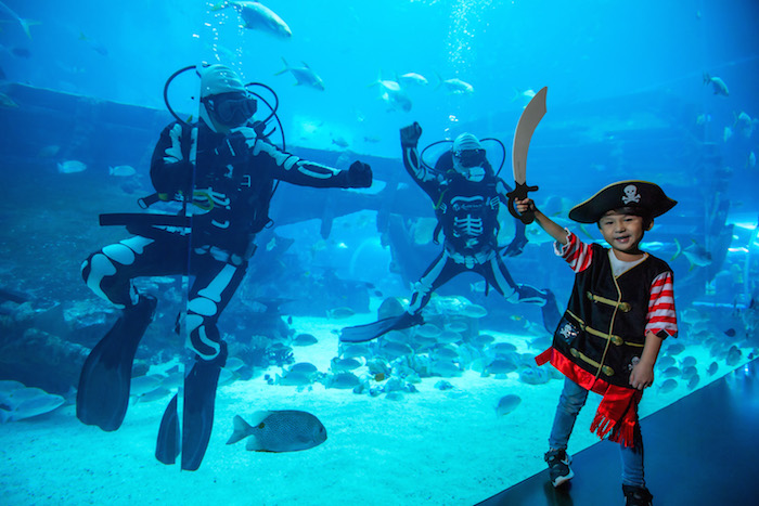 sea-aquarium-underwater-skeleton-wanderers-show