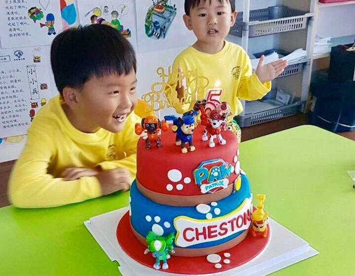 the cake shop paw patrol birthday cakes singapore