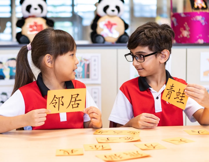 bilingual schools singapore canadian international school cis chinese french programme