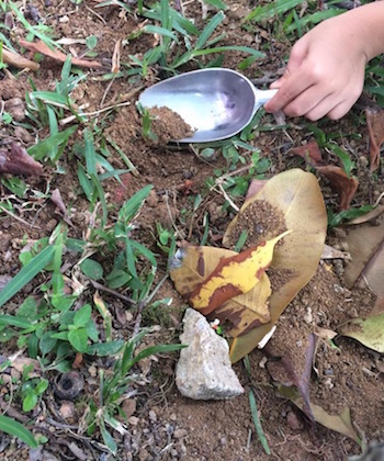 wild-nature-kampung-camp