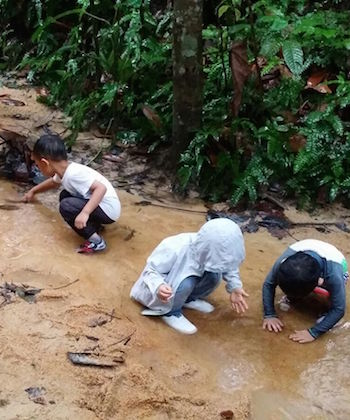 forest-school