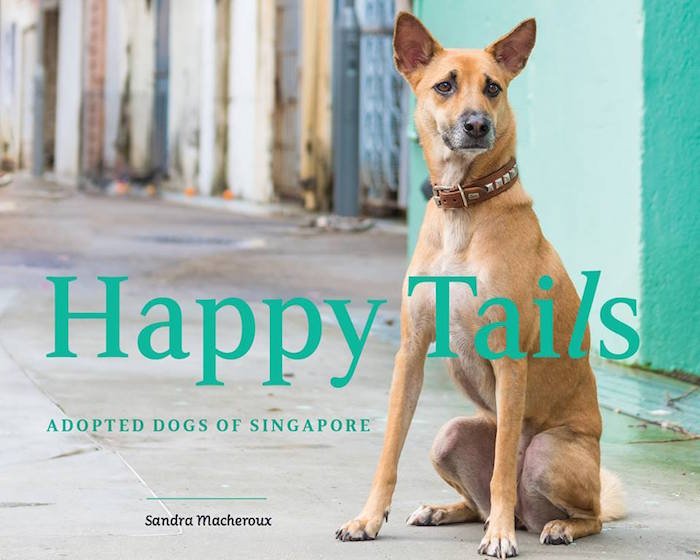 happy tails dog photography book
