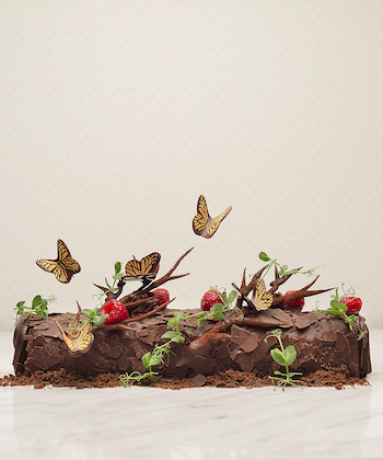 intercontinental-framboise-wild-forest-christmas-log-cake