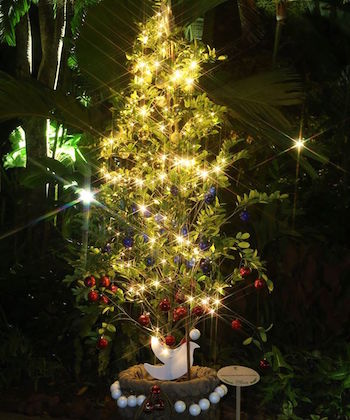 botanic-gardens-singapore-christmas-lights