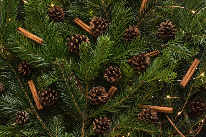 festive-aromatherapy-pine-cinnamon-091216