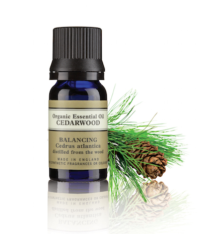 festive-season-aromatherapy-cedarwood-091216