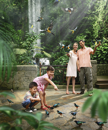 jurong-bird-park-smurfs-Waterfall-Aviary