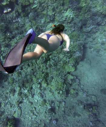 snorkel-coral-safety-eco-friendly