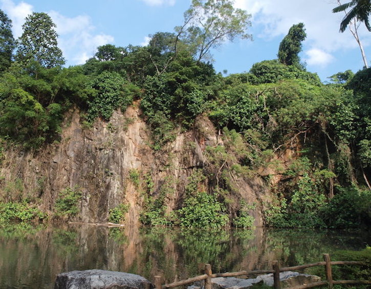 parks in singapore bukit batok nature park