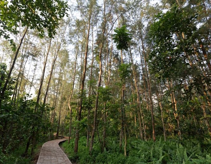 best parks for kids in singapore coney island cycling