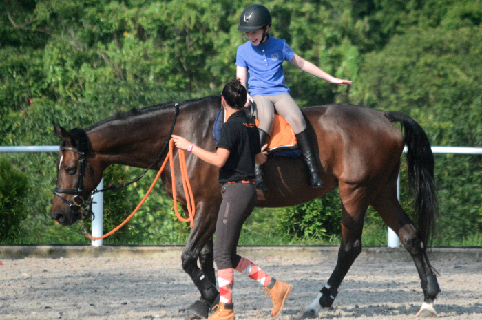 Equine-assisted therapy in Singapore for children