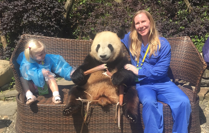 pandas in chengdu