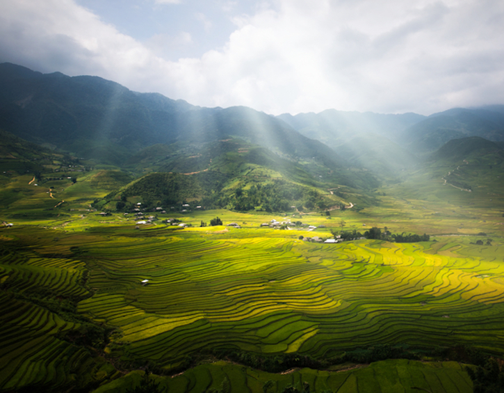 Rice fields in Vietnam: Places to see in Asia