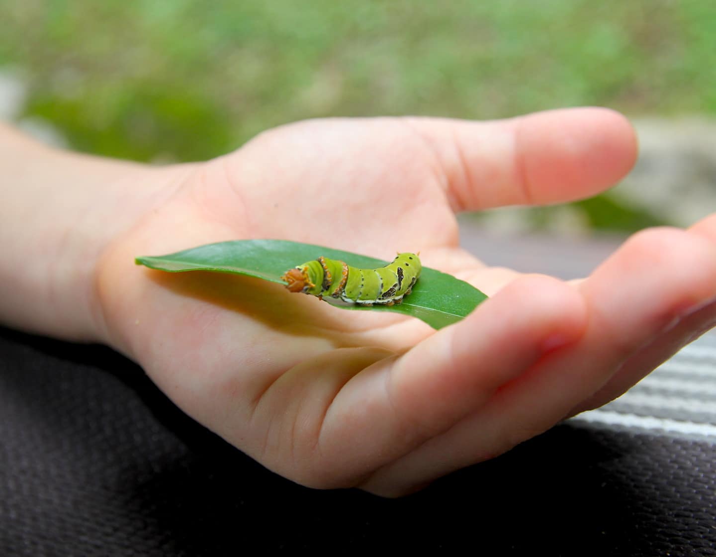 Caterpillar stores sales near me