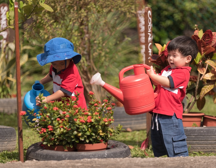 little paddington preschool green activity nature garden eco friendly