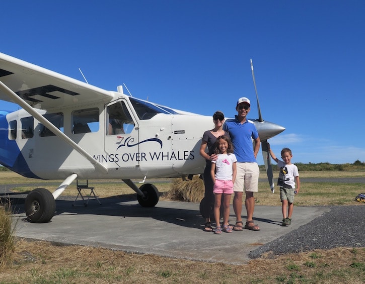 kaikoura wings over whales new zealand