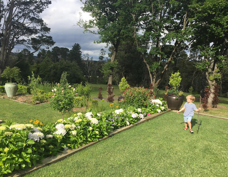 parklands blackheath blue mountains australia