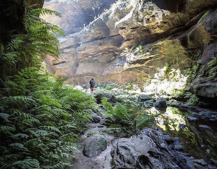 hiking tracks in the blue mountains