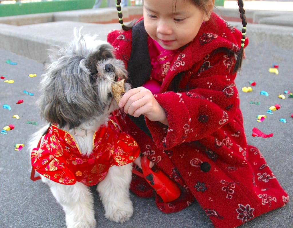 chinese new year singapore events